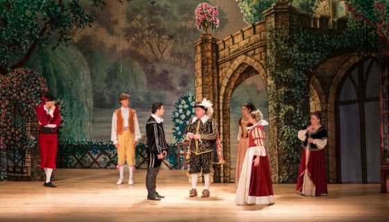 Мюзикл «Собака на сене»