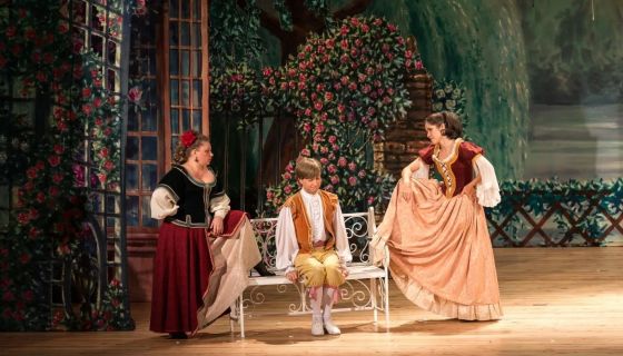 Мюзикл «Собака на сене»